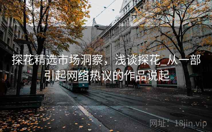 探花精选市场洞察，浅谈探花_从一部引起网络热议的作品说起  第1张
