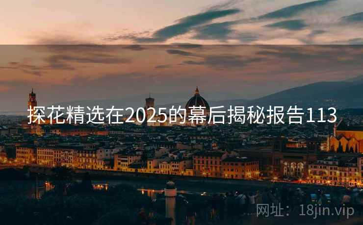 探花精选在2025的幕后揭秘报告113  第1张