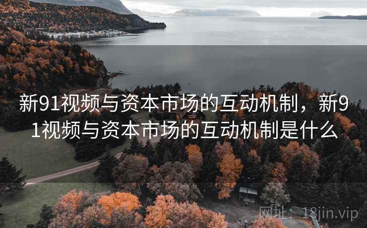 新91视频与资本市场的互动机制，新91视频与资本市场的互动机制是什么  第1张