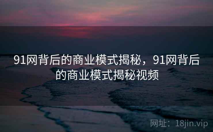 91网背后的商业模式揭秘，91网背后的商业模式揭秘视频  第1张