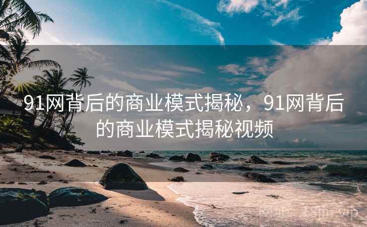 91网背后的商业模式揭秘，91网背后的商业模式揭秘视频  第2张