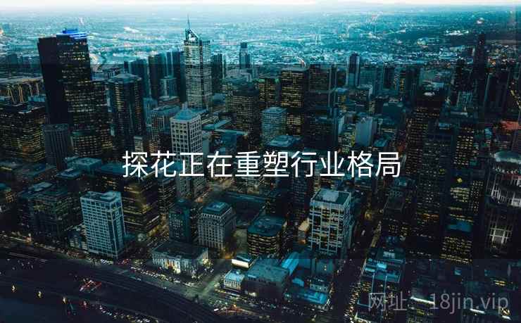 探花正在重塑行业格局  第1张