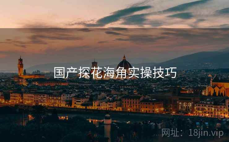 国产探花海角实操技巧  第2张