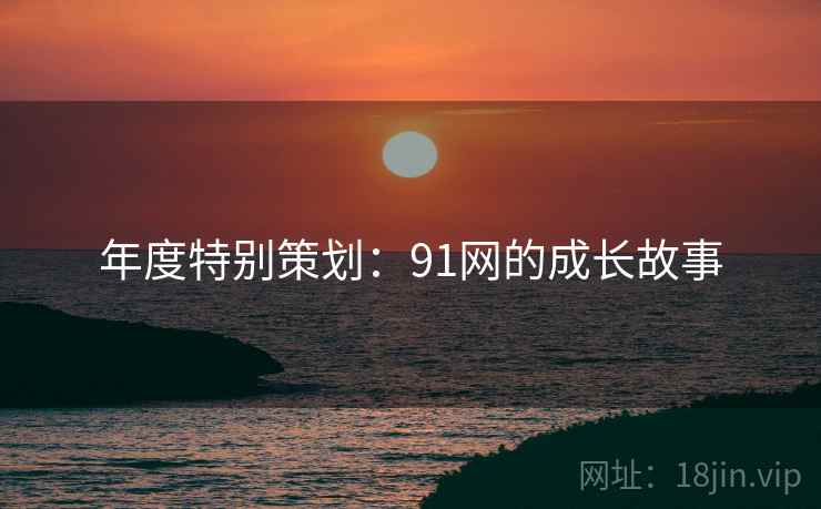 年度特别策划：91网的成长故事  第2张