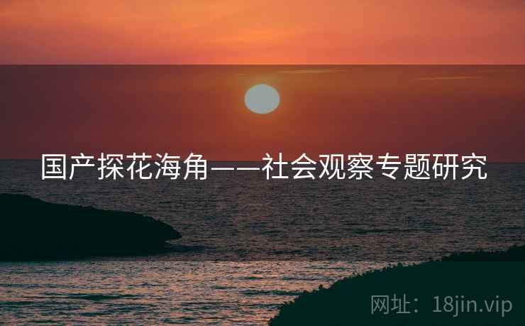 国产探花海角——社会观察专题研究  第1张