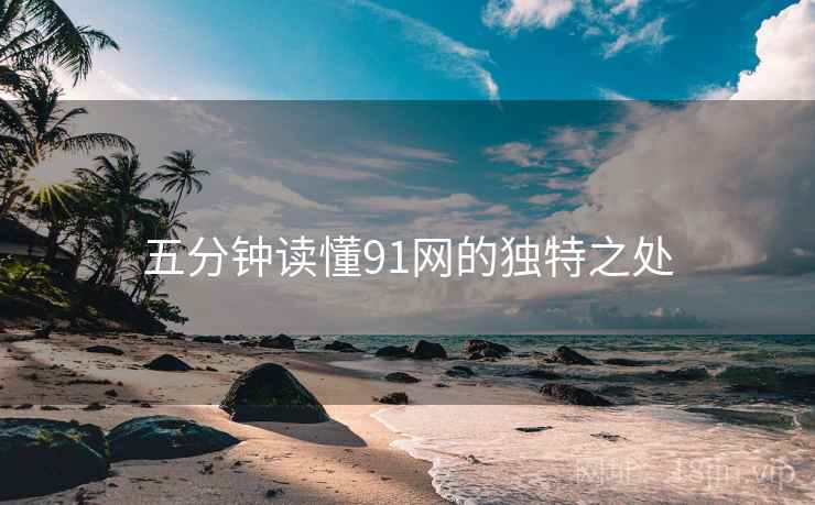 五分钟读懂91网的独特之处  第2张