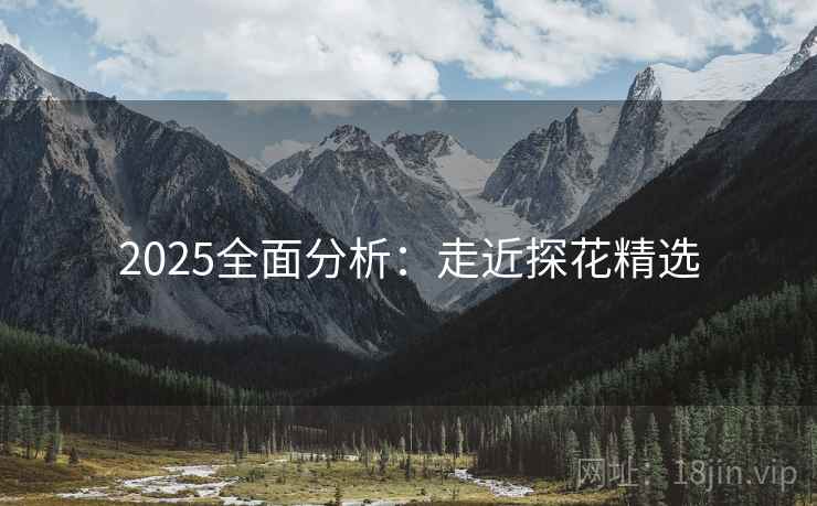 2025全面分析：走近探花精选  第4张