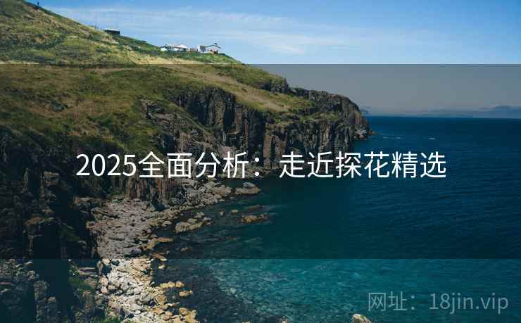 2025全面分析：走近探花精选  第1张