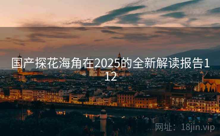 国产探花海角在2025的全新解读报告112  第1张