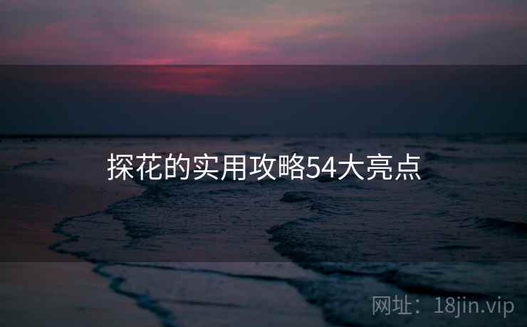 探花的实用攻略54大亮点  第1张