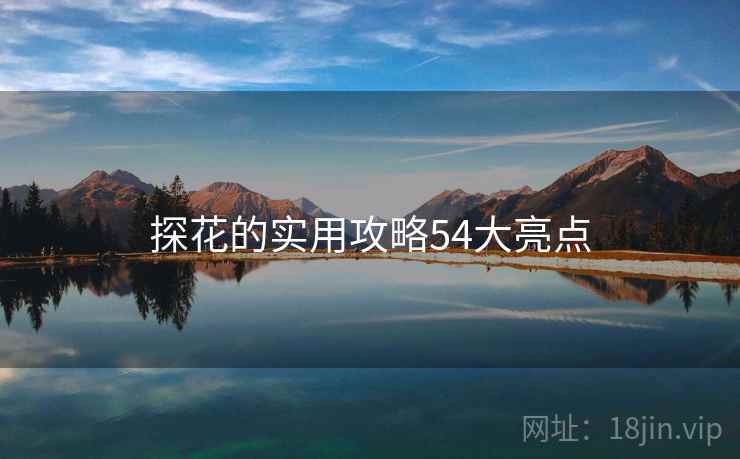 探花的实用攻略54大亮点  第2张