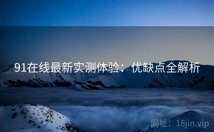 91在线最新实测体验：优缺点全解析  第1张