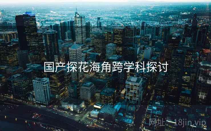 国产探花海角跨学科探讨  第2张