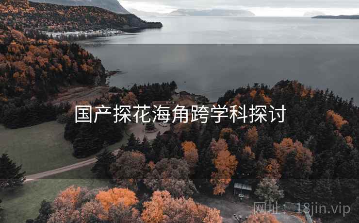 国产探花海角跨学科探讨  第1张