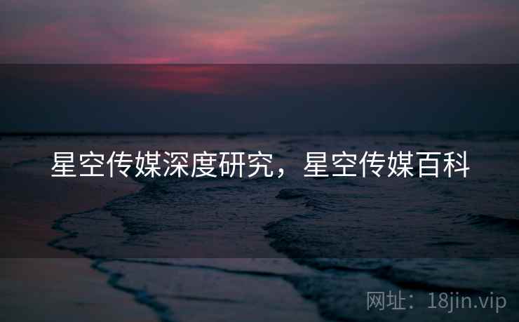 星空传媒深度研究，星空传媒百科  第1张
