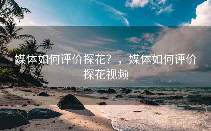 媒体如何评价探花？，媒体如何评价探花视频  第1张