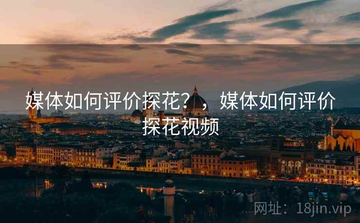 媒体如何评价探花？，媒体如何评价探花视频  第2张