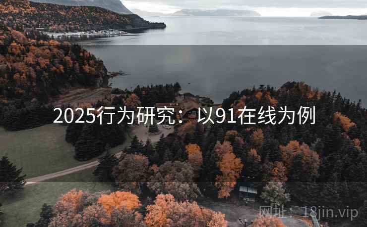 2025行为研究：以91在线为例  第1张