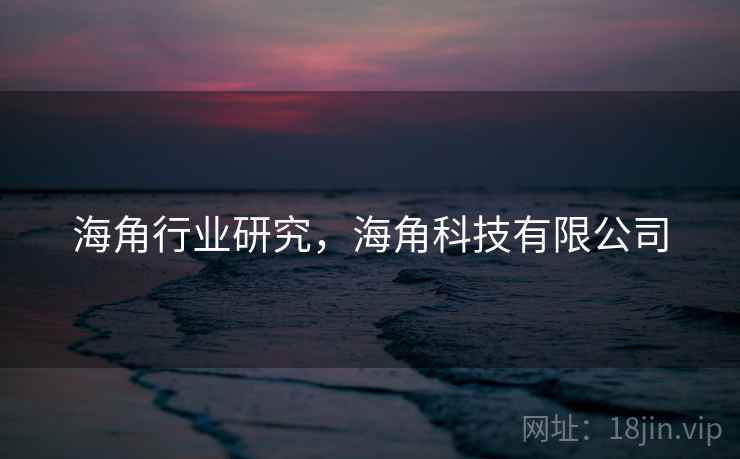 海角行业研究，海角科技有限公司  第2张