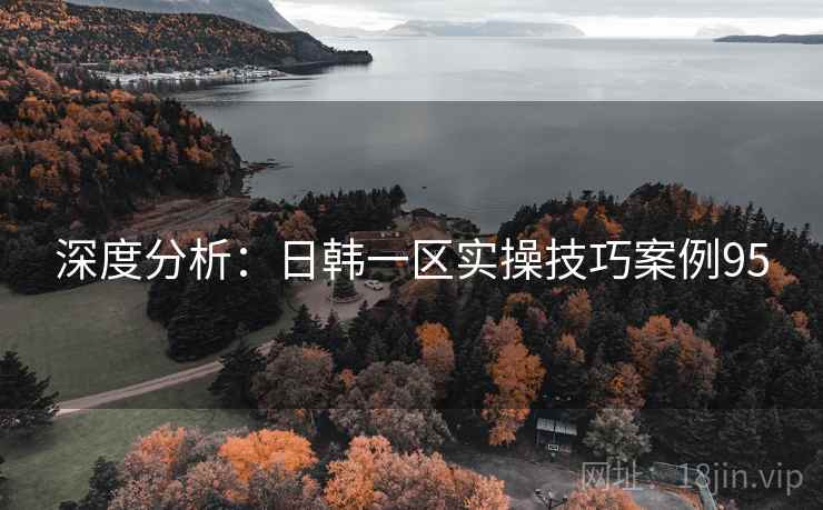 深度分析：日韩一区实操技巧案例95  第2张