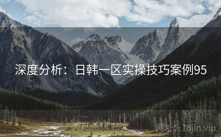 深度分析：日韩一区实操技巧案例95  第1张