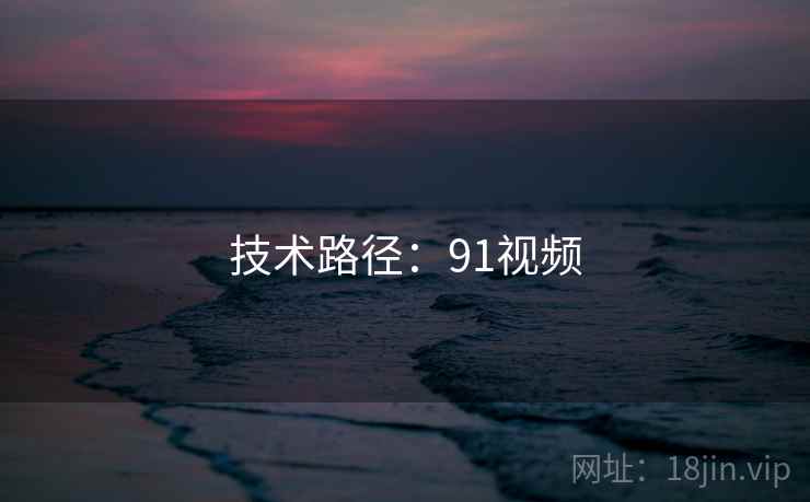 技术路径：91视频  第2张