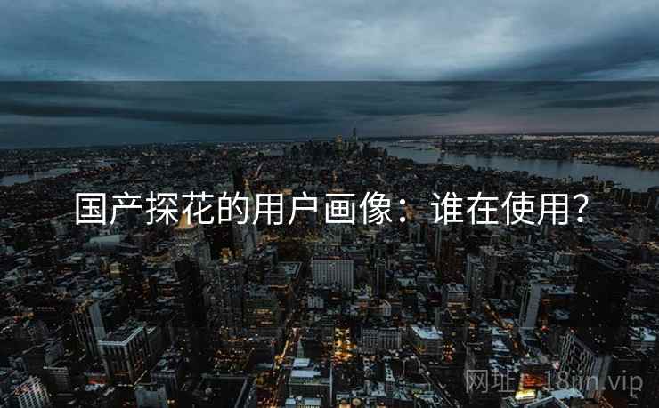 国产探花的用户画像：谁在使用？  第2张