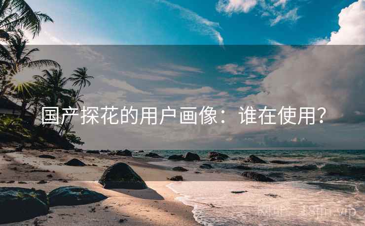 国产探花的用户画像：谁在使用？  第1张