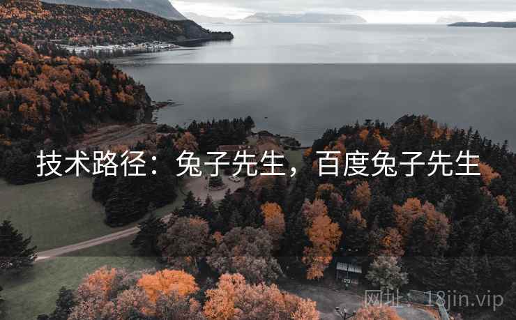技术路径：兔子先生，百度兔子先生  第1张