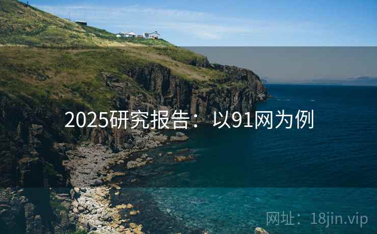 2025研究报告：以91网为例  第2张