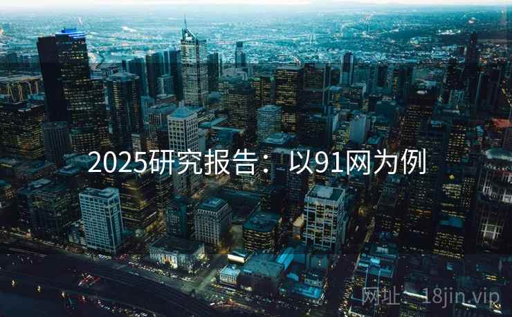 2025研究报告：以91网为例  第1张